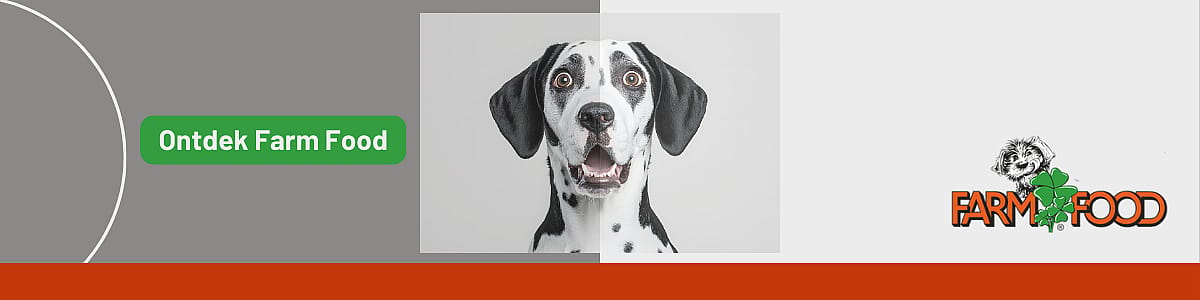 Dier, Hondje, Hond, Zoogdier, Huisdier, Dier, Hond, Zoogdier, Huisdier, Dier, Hond, Zoogdier, Huisdier